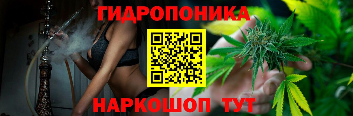 Бошки марихуана Ganja Кольчугино
